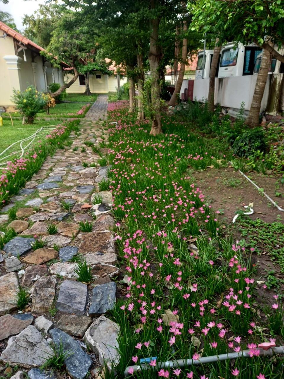 Sai Gon Con Dao Resort Extérieur photo