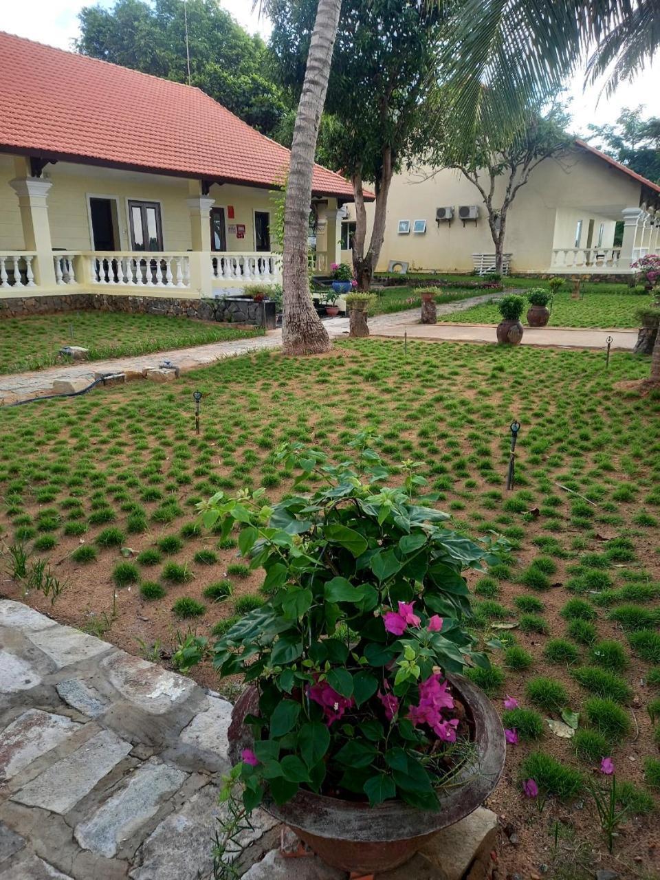 Sai Gon Con Dao Resort Extérieur photo